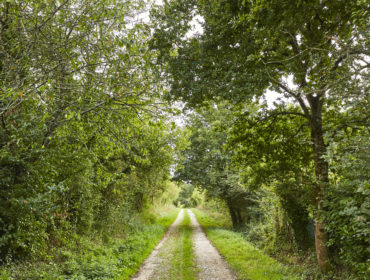 Landes de Lamblat